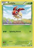 Ledyba - 6/146 - Common | XY - Base Set