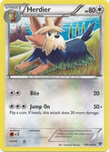 Herdier - 109/146 - Uncommon | XY - Base Set