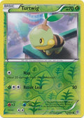 Turtwig - 1/135 - Common - Reverse Holo | BW Plasma Storm
