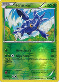 Heracross - 8/149 - Uncommon - Reverse Holo | BW - Boundaries Crossed