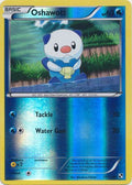 Oshawott - 27/114 - Common - Reverse Holo | Black and White
