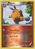 Pignite - 17/114 - Uncommon - Reverse Holo | Black and White