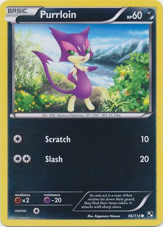 Purrloin - 66/114 - Common - Reverse Holo | Black and White