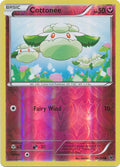 Cottonee - 70/124 - Common - Reverse Holo | XY - Fates Collide