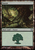 Forest (113) | Duels of the Planeswalkers