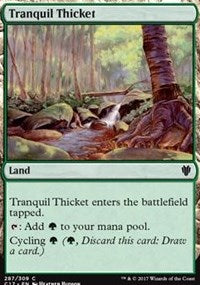 Tranquil Thicket | Commander 2017