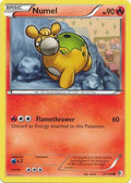 Numel - 21/149 - Common | BW - Boundaries Crossed
