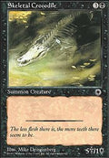 Skeletal Crocodile | Portal 1