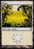 Plains (40) | Duel Decks: Ajani vs. Nicol Bolas