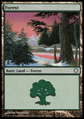 Forest (383) | Coldsnap Theme Deck Reprints