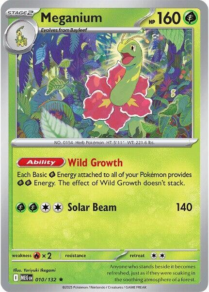 Meganium - 010/132 - Holo Rare - Reverse Holo | ME - Base Set