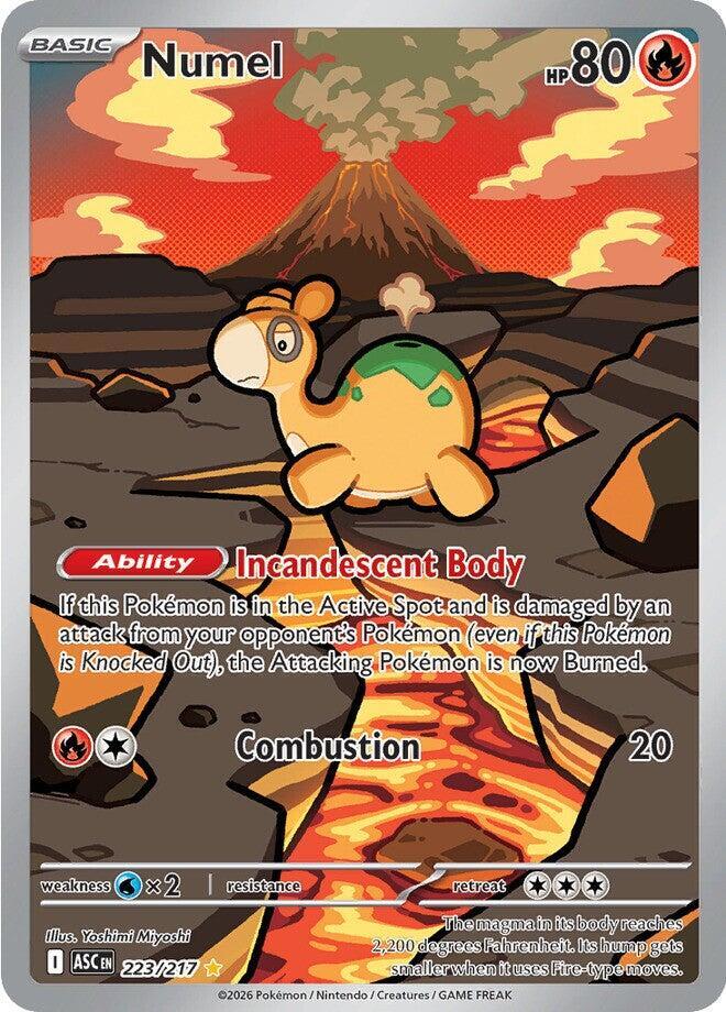 Numel - 223/217 - Illustration Rare | ME - Ascended Heroes