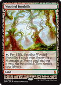 Wooded Foothills - Foil | Zendikar Expeditions