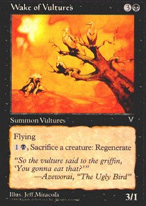 Wake of Vultures | Visions