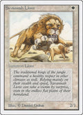 Savannah Lions | Unlimited