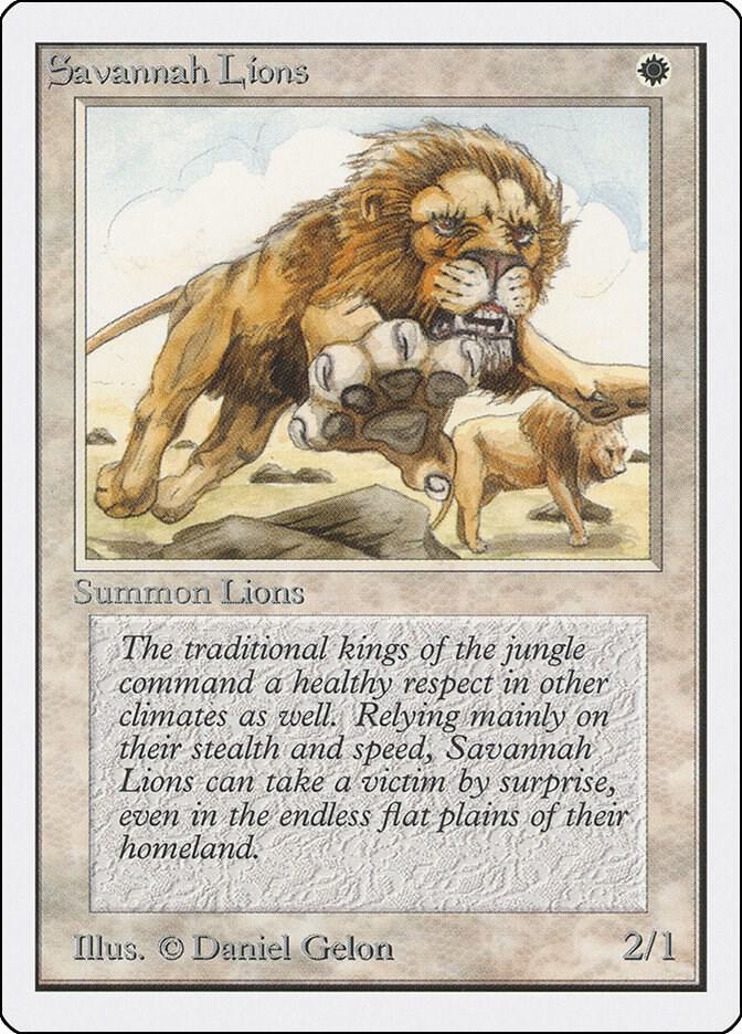 Savannah Lions | Unlimited