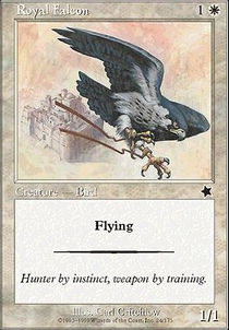 Royal Falcon | Starter 1999