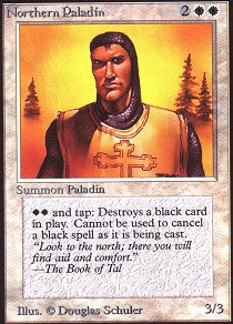 Northern Paladin | Beta