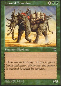 Trained Armodon | Tempest