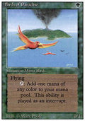 Birds of Paradise | 3rd Edition (Revised)