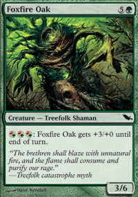 Foxfire Oak - Foil | Shadowmoor