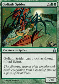 Goliath Spider | Ravnica