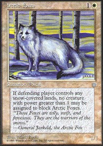 Arctic Foxes | Ice Age