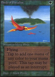 Birds of Paradise | Alpha