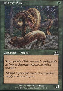 Marsh Boa | Prophecy