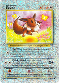 Eevee - 74/110 - Common - Reverse Holo | Legendary_Collection