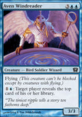 Aven Windreader - Foil | 9th Edition
