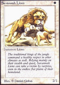 Savannah Lions | Beta