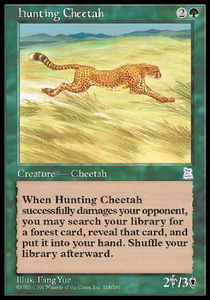 Hunting Cheetah | Portal 3 Kingdoms