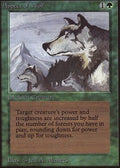 Aspect of Wolf | Alpha