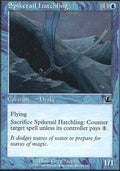 Spiketail Hatchling | Prophecy
