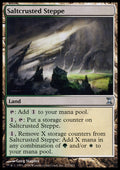Saltcrusted Steppe - Foil | Time Spiral