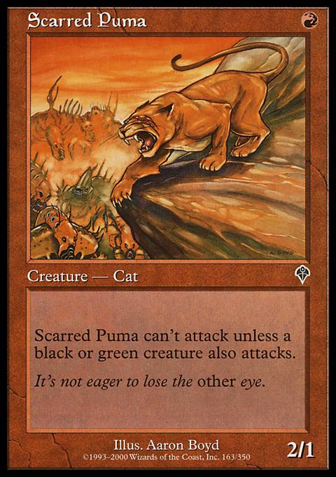 Scarred Puma - Foil | Invasion