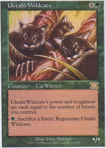 Uktabi Wildcats | 6th Edition