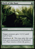 Thrill of the Hunt - Foil | Time Spiral