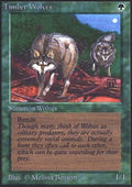Timber Wolves | Alpha