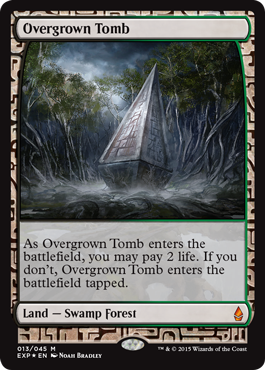 Overgrown Tomb - Foil | Zendikar Expeditions