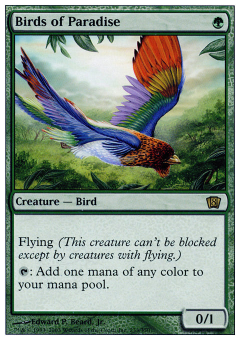 Birds of Paradise | 8th Edition