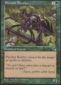 Pincher Beetles | Tempest