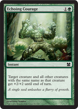 Echoing Courage | Modern Masters