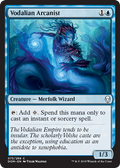Vodalian Arcanist | Dominaria