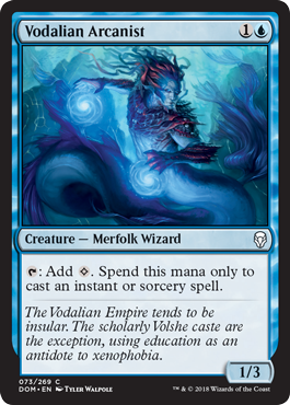 Vodalian Arcanist | Dominaria