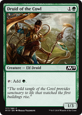 Druid of the Cowl - Foil | Core Set 2019