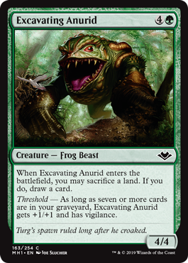 Excavating Anurid - Foil | Modern Horizons