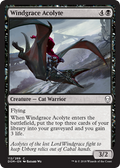 Windgrace Acolyte - Foil | Dominaria