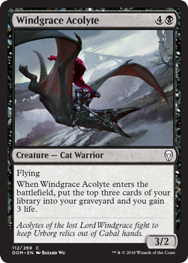 Windgrace Acolyte - Foil | Dominaria